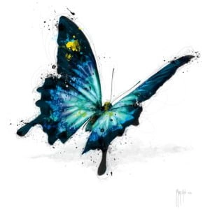 een blauwe vlinder met gele vlekken op zijn vleugels