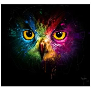 het gezicht van een uil met gele ogen