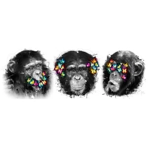 drie apen met kleurrijke vlinders op hun hoofd
