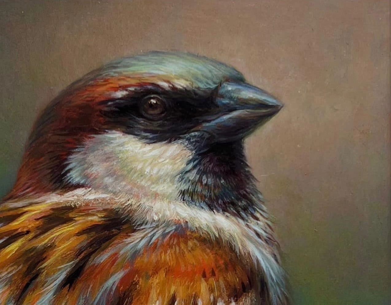 Erik van Ommen, Portret van een huismus, detail G