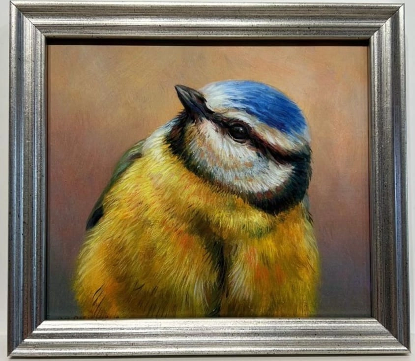 Erik van Ommen, portret van een pimpelmees, V