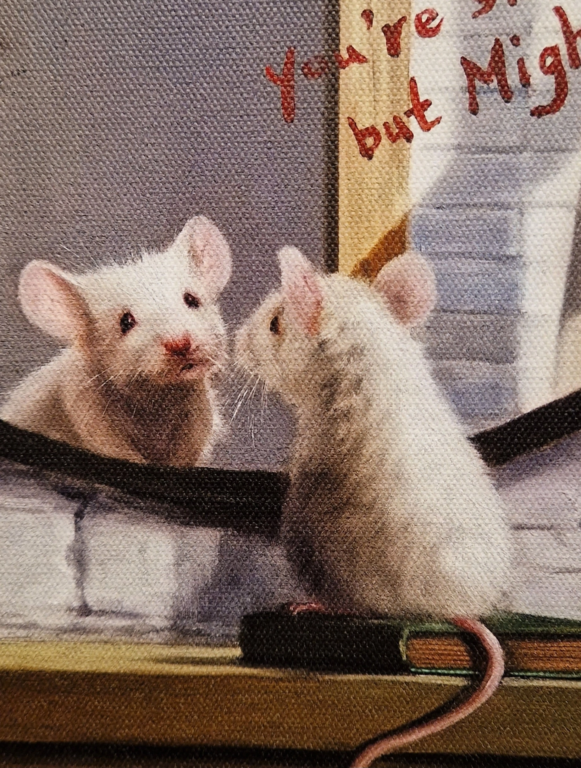 twee witte muizen zitten naast elkaar