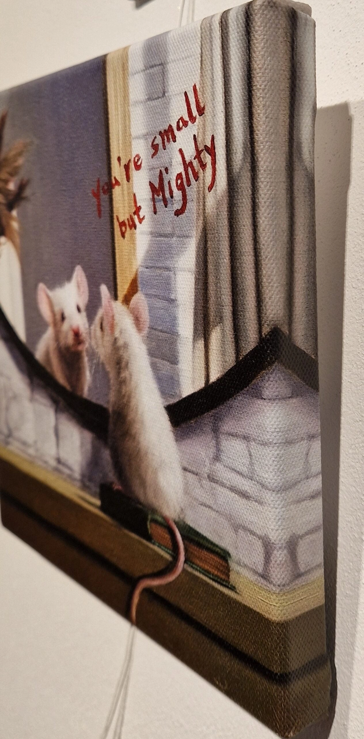 een muis en een rat op een muur