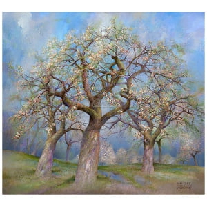 Appelboogaard in bloei