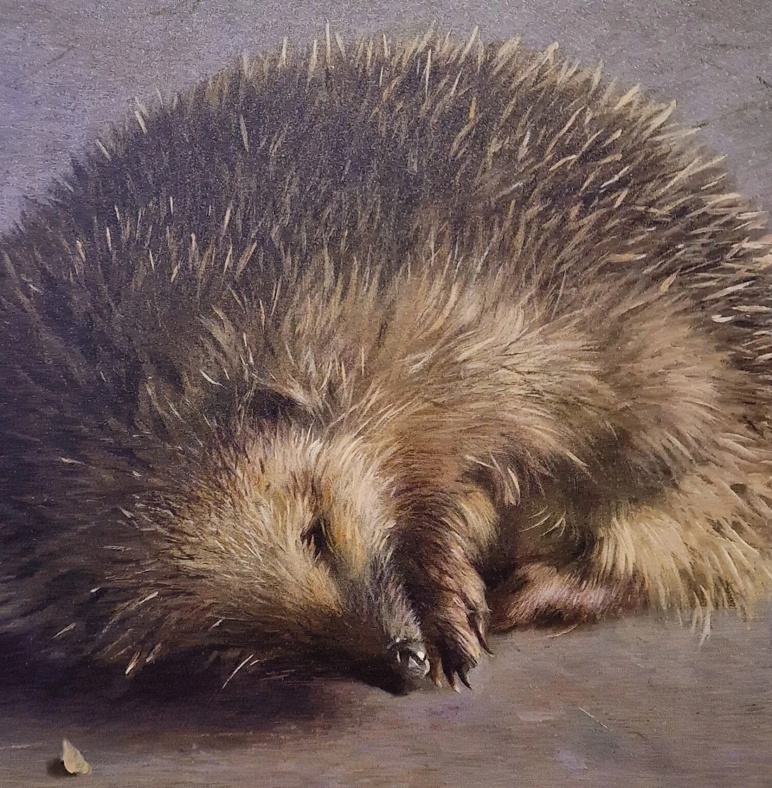 Art Circle, Henk Helmantel, Het egeltje, detail DB