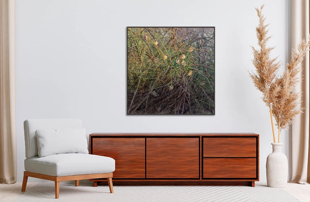 Elwin van der Kolk, Huismussen in rozenstruik, detail HK