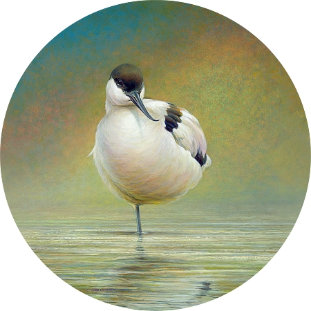 Art Circle, Erik van Ommen, Kluut, V