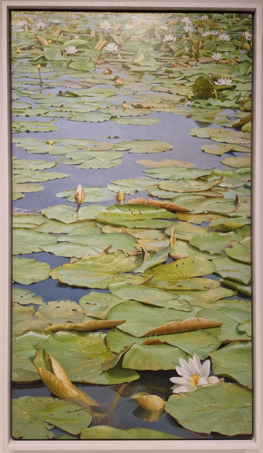 Joke Frima, Waterlelies bij de Ronde Hoep, detail (6)