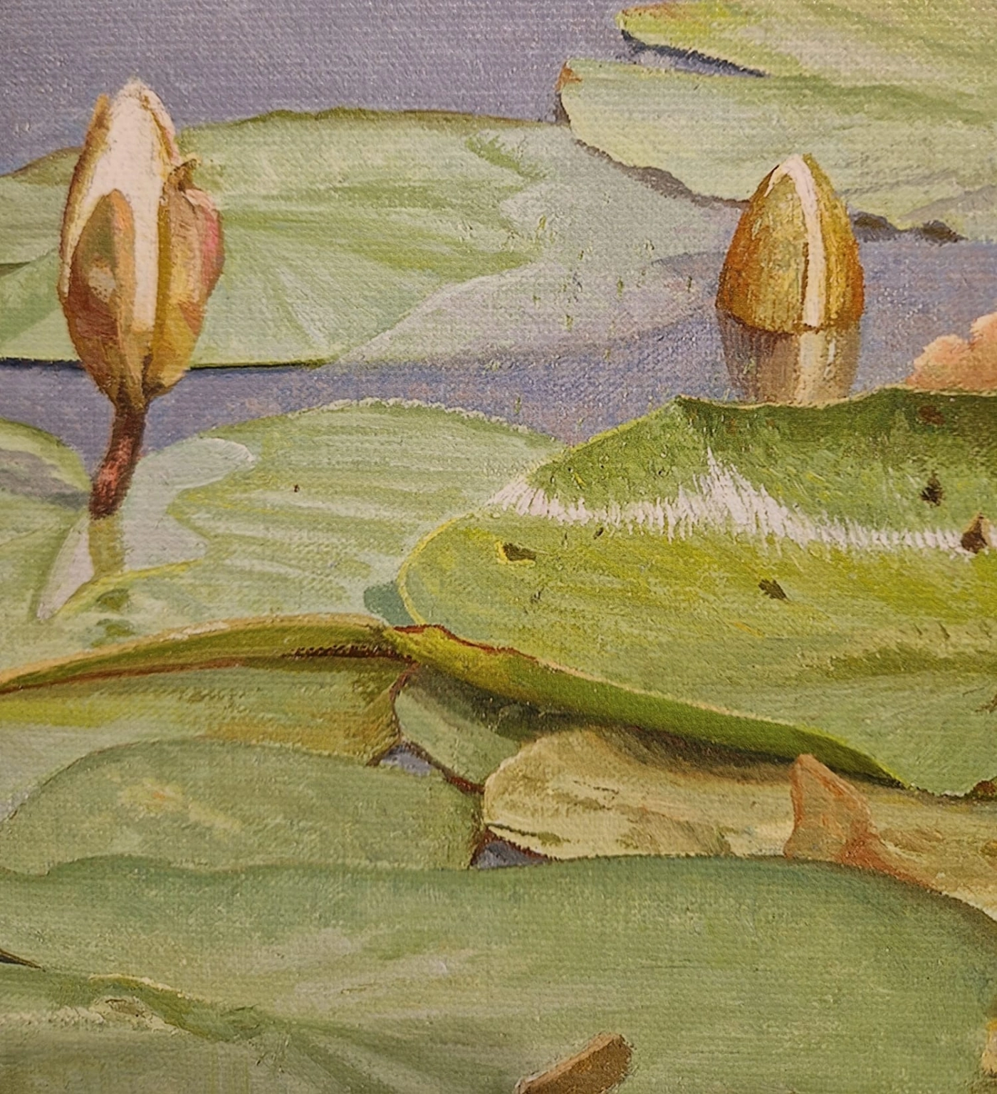 Joke Frima, Waterlelies bij de Ronde Hoep, detail G