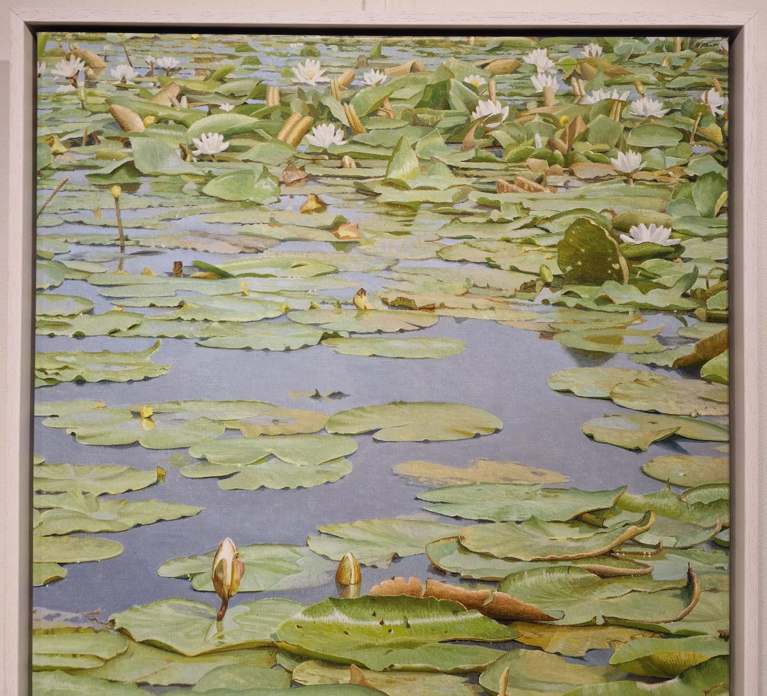 Joke Frima, Waterlelies bij de Ronde Hoep, detail LG