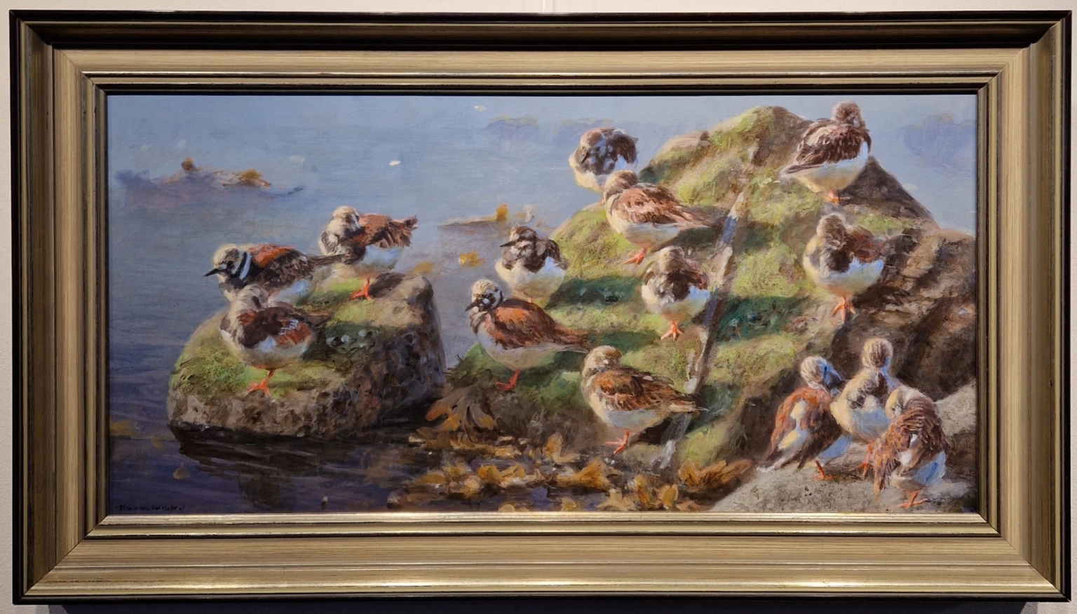 Elwin van der Kolk, Rustende steenlopers, V