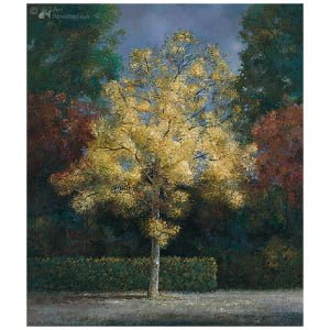 Herfstkleuren