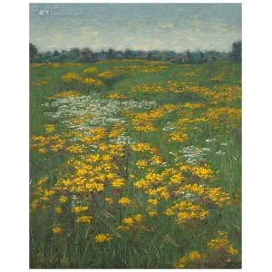 Bloemenveld