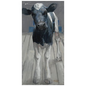 Zwartbont kalf II