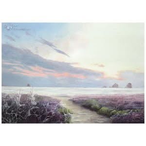 Balloërveld
