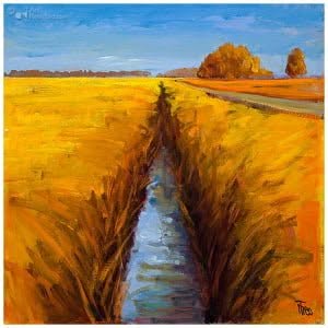 Eindeloos landschap