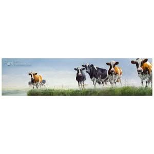 Bonte Boel
