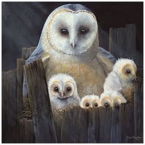 Nest kerkuilen