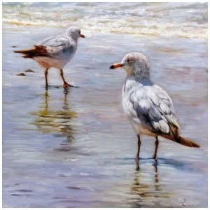 op het strand staan ​​twee meeuwen in het water