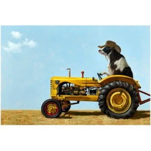 een hond die achterop een gele tractor rijdt