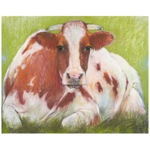 een tekening van een bruin-witte koe die in het gras ligt