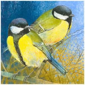twee vogels zitten bovenop een boomtak
