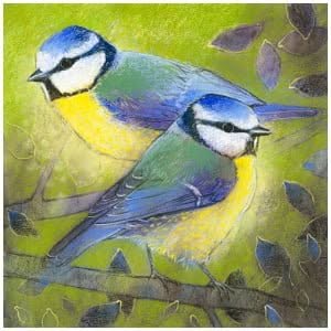 twee blauwe vogels zitten bovenop een boomtak