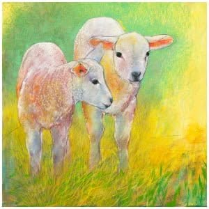 twee lammeren staan ​​in het gras op een zonnige dag