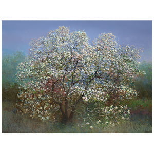 Bloeiende magnolia