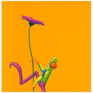 Gerbera